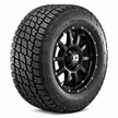 Nitto Terra Grappler G2